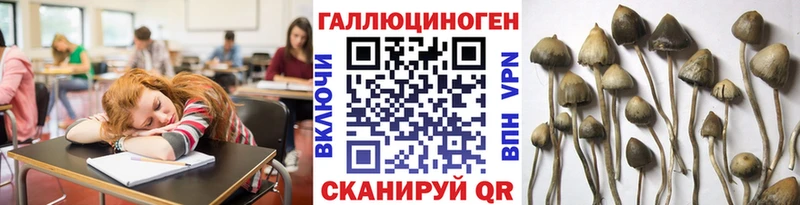 Псилоцибиновые грибы мухоморы  купить   Рубцовск 
