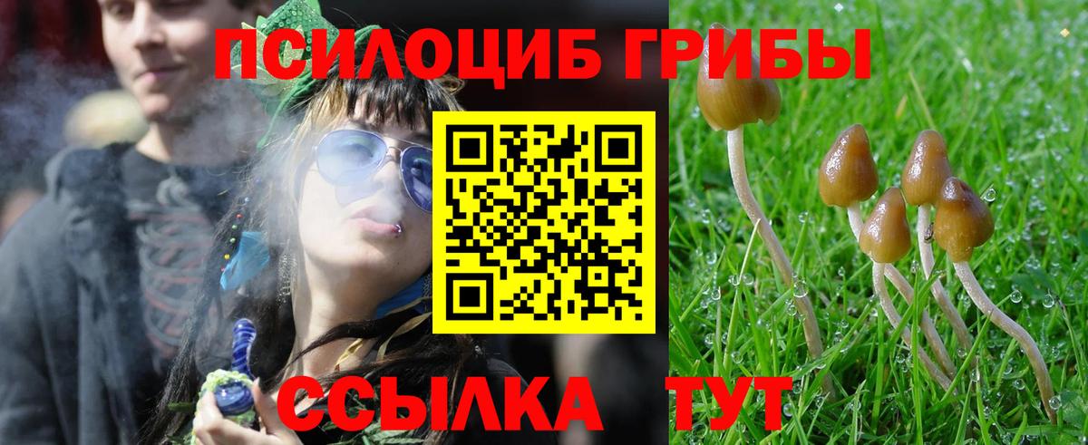 Рубцовск  продажа наркотиков  Псилоцибиновые грибы ЛСД  Вход с VPN  Галлюциногенные грибы мухоморы 